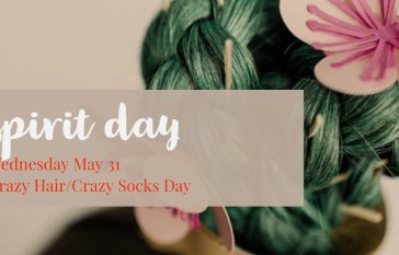 Spirit Day - Crazy Hair/Crazy Socks Day 