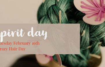 SPIRIT DAY - Crazy Hair Day